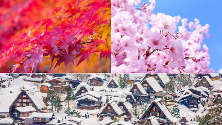 japan multi season